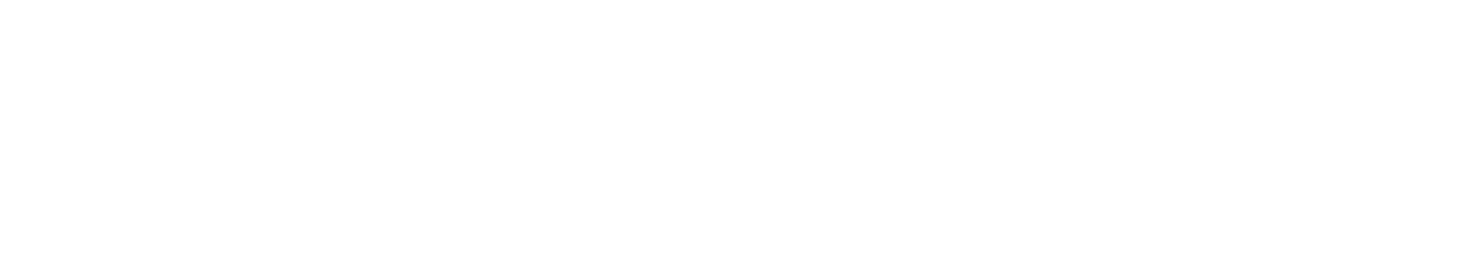 Dr Arnaldo Paganelli logo